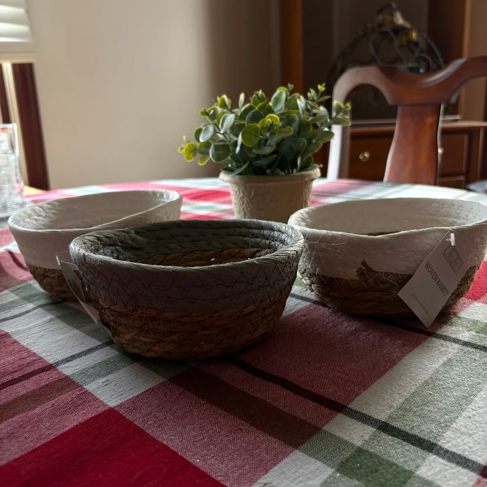 NWT Birch & Vine Small Woven Baskets, Set of Three